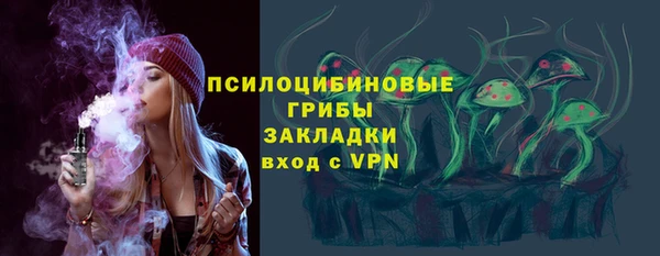 спиды Богородск