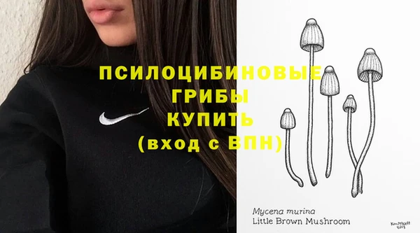 спиды Богородск