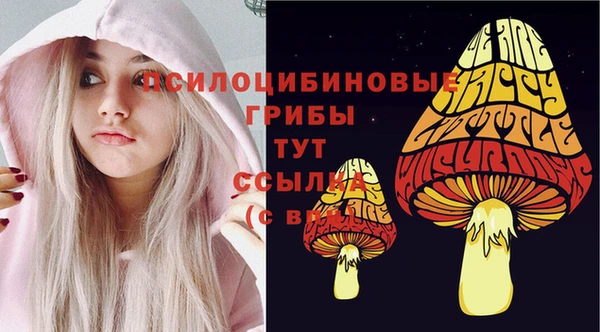 наркотики Богородицк