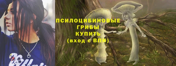 спиды Богданович