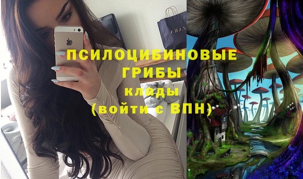 ALPHA-PVP Белокуриха