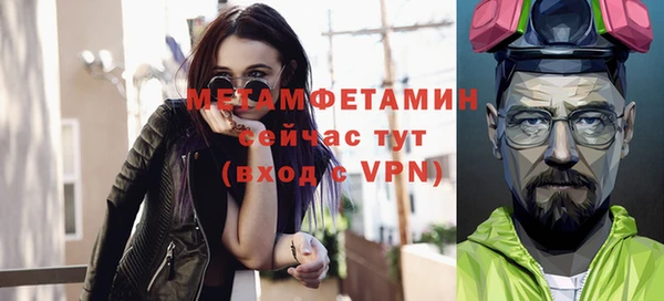 спиды Богданович