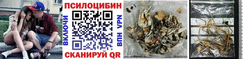 Купить где  Курчатов  Псилоцибиновые грибы Magic Shrooms 